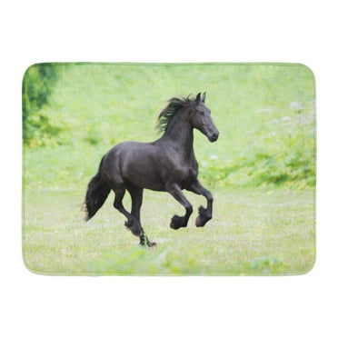 GODPOK Beauty Green Animal Black Friesian Horse Runs Gallop in Summer Field White Beautiful Domestic Rug Doormat Bath Mat 23.6x15.7 inch