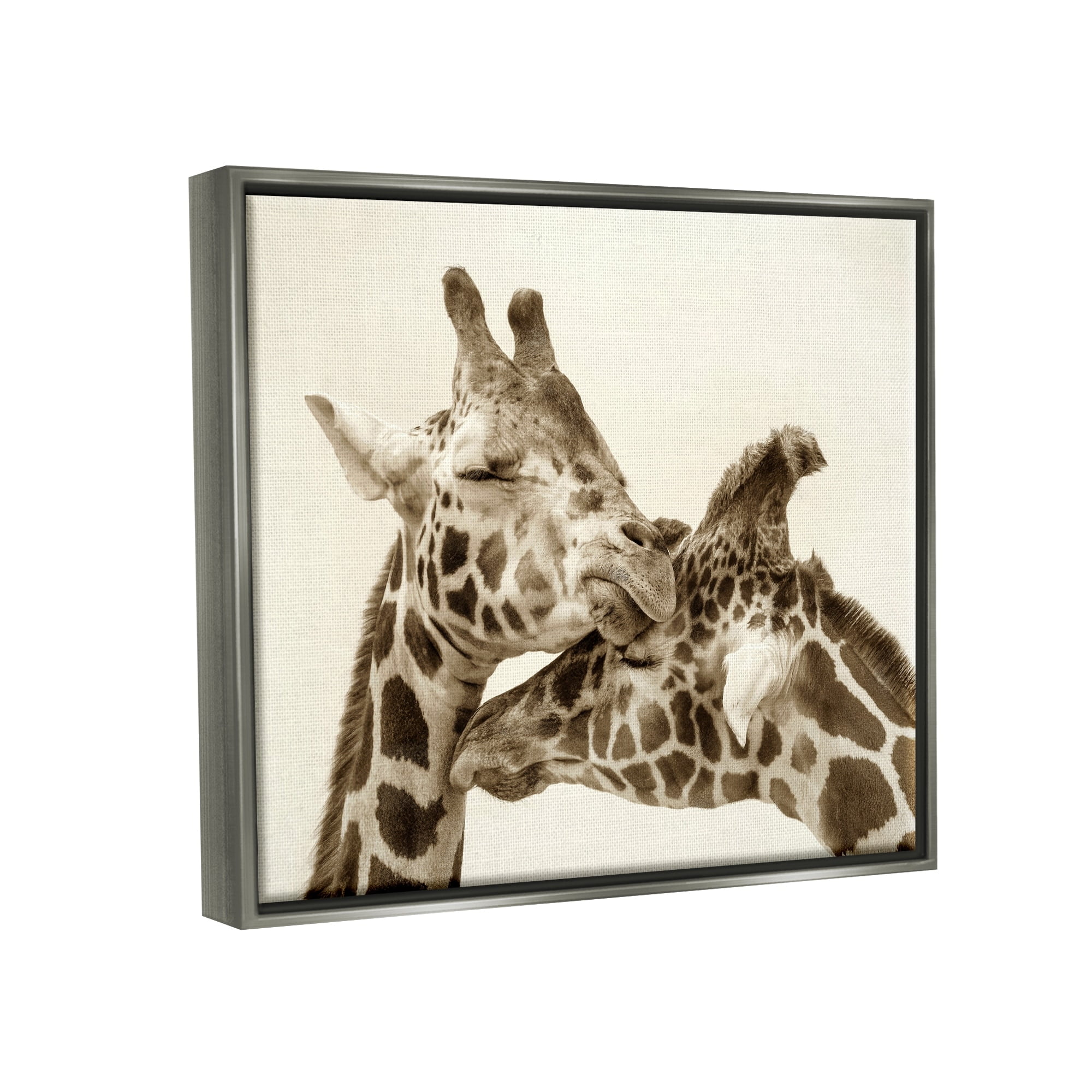 Stupell Industries Sweet Cuddling Giraffes Sepia Wildlife Photography Portrait Photograph Luster Gray Floating Framed Canvas Print Wall Art, Design by Carrie Ann Grippo-Pike