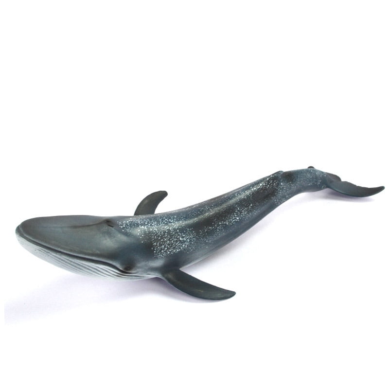 26cm Realistic Blue Whale Sea Animal Model Solid Plastic Figure Ocean Toy 
