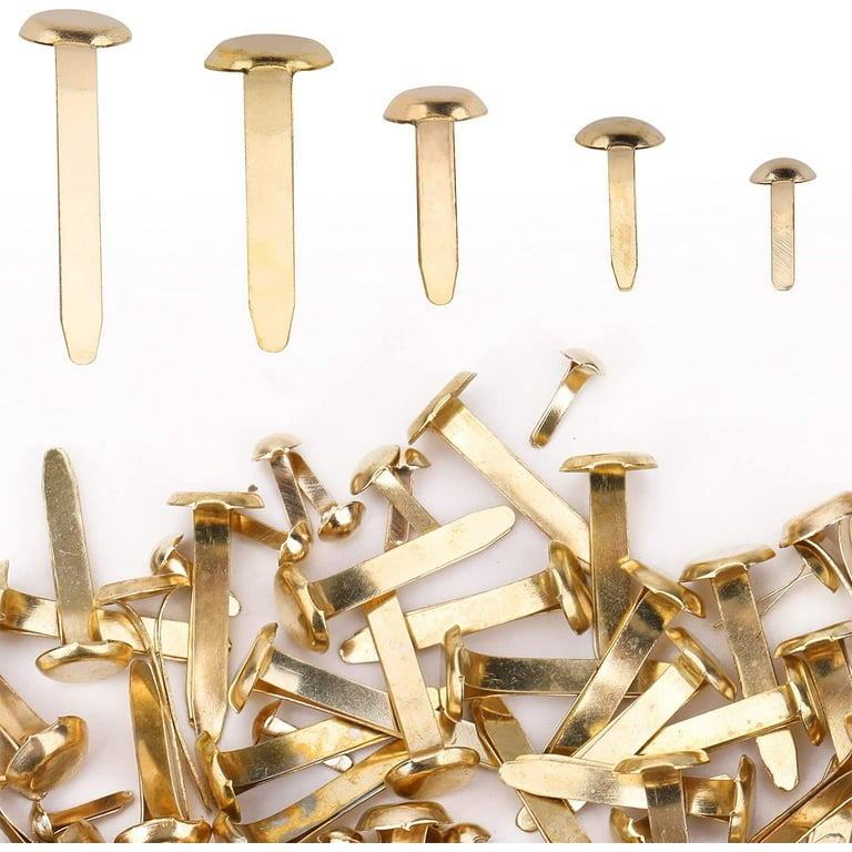 Trimming Shop 500pcs Metal Split Paper Fastener Pins, Round Head Split Pins  Brads with Storage Box for Scrapbooking, Crafting, Toy Making, Document  Fastening - Assorted Sizes, Gold 