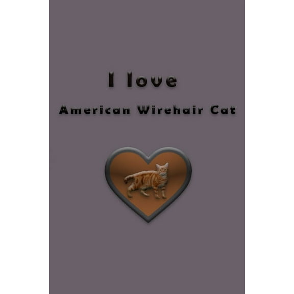 I love American Wirehair Cat (Paperback)