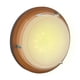 thumbnail image 1 of Lampara De Techo Luz Ideal, Plafón Liso Madera Luz Led 3 Tonos., 1 of 5