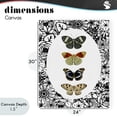 thumbnail image 4 of Stupell Industries Traditional Floral Butterfly Lineup Canvas Art, 24 x 30, by Dan Meneely, 4 of 8