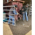 thumbnail image 4 of Starting Fluid- Supportive Liquid Nutrients for Livestock, 4 of 8