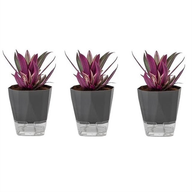 Macetas sin riego Macetas autoabsorbentes Macetas suculentas de orquídeas de balcón de plástico