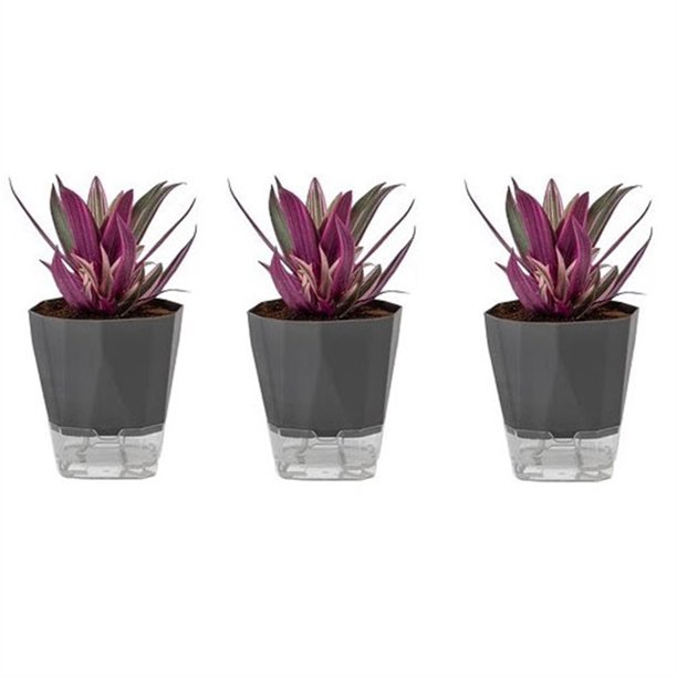 Macetas sin riego Macetas autoabsorbentes Macetas suculentas de orquídeas de balcón de plástico
