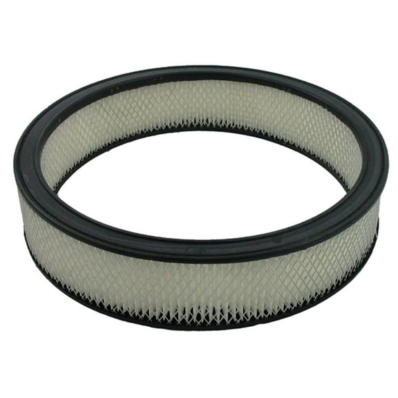 Pentius PAB305 Pentius Filter Fits select: 1969 PLYMOUTH SATTELITE, 1970-1974 DODGE CHALLENGER