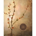 thumbnail image 2 of Marcon, Michael 26x32 White Modern Wood Framed Museum Art Print Titled - Fall Stems in the Warmth, 2 of 4