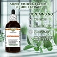 thumbnail image 5 of Wintergreen (Gaultheria Procumbens) Dry Leaf ALCOHOL-FREE Liquid Extract. Expertly Extracted by Trusted HawaiiPharm Brand. Absolutely Natural. Proudly made in USA. Glycerite 4 Fl.Oz, 5 of 9