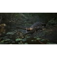 thumbnail image 5 of Metal Gear Solid: Snake Eater Tactical Edition - PlayStation 5 Game, 5 of 6
