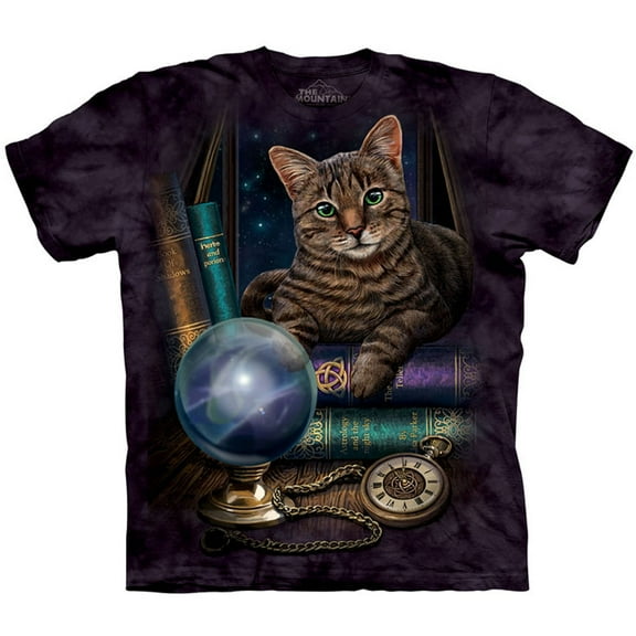 The Mountain Men's  The Fortune Teller T-shirt Purple