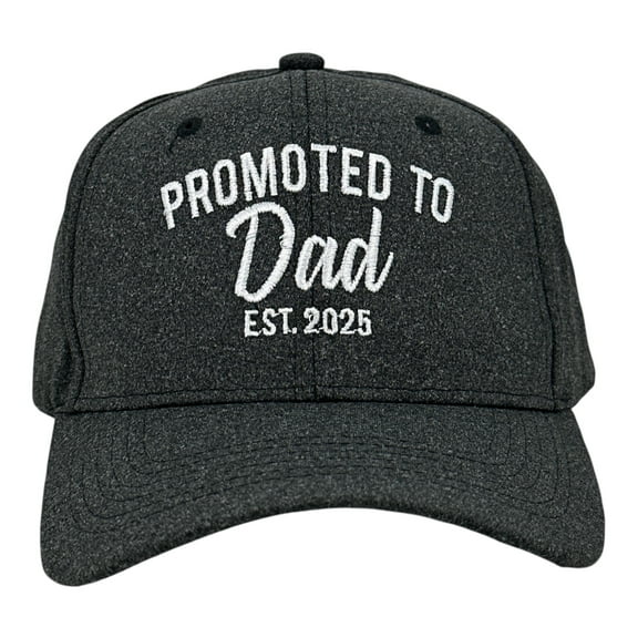Promoted to Dad Hat Funny Sarcastic New Baby Graphic Novelty Cap