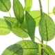 thumbnail image 1 of OHOIOLLA Guirnalda De Flores Artificiales Verde Para De Y Eventos, 1 of 6