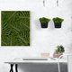 thumbnail image 5 of 8 soportes de pared para plantas, macetas de pared para balcón, macetas colgantes de pared, 5 of 5