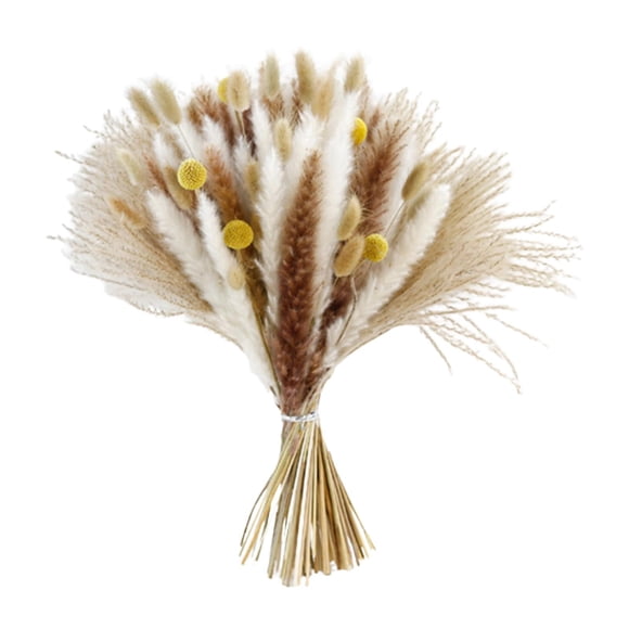 Ramo de hierba de la pampa natural, ramo floral, flores secas para jarrón, pampas secas Estilo D