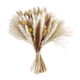 thumbnail image 1 of Ramo de hierba, ramas de flores secas decorativas, paquete de caña, hierba seca, decoración para Estilo D, 1 of 9