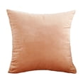 thumbnail image 2 of Euahivb Velvet Throw Pillow 17.7x17.7 Inch Soft Plush Cushion for Sofa Couch Living Room Bedroom Home Decor Accessories, 2 of 6