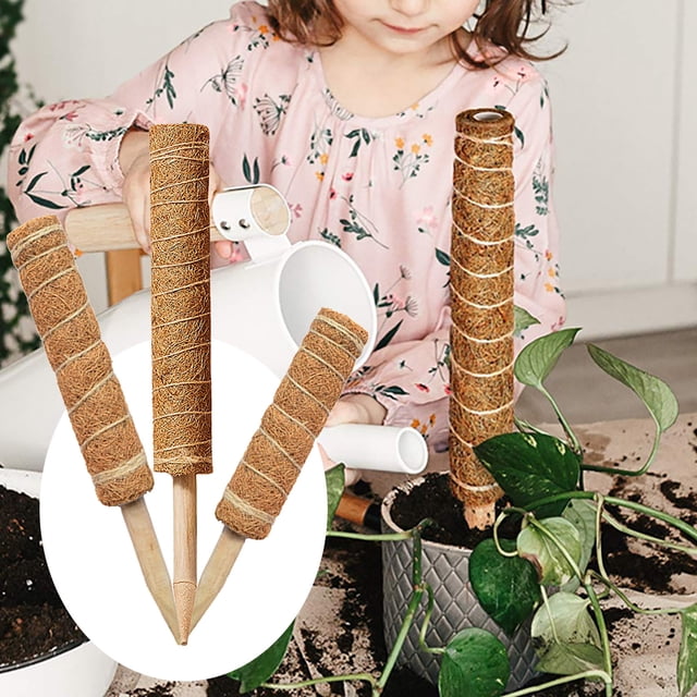 Xihbxyly Juego de Postes de Escalada, Varillas de Soporte de Fibra de Musgo Natural, Tutores Versátiles para Plantas de Interior, Diseño de Fácil Extensión, Ideal para Enredaderas y Trepadoras, Entus