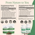 5 Defenders Capsules Organic Mushroom Extract w/ Chaga, Shiitake