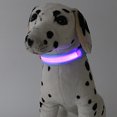 thumbnail image 5 of TIMIFIS Dog Collar LED dog collar USB rechargeable, suitable for small and medium-sized dogs Dog Training Collar - Fall, 5 of 5