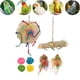 thumbnail image 4 of Juguetes para triturar pájaros juguetes para forrajeo de pájaros Sepak Takraw natural alivio de la ansiedad higiénico para periquitos cotorras cacatúas para loros Anggrek Otros, 4 of 8