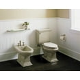 thumbnail image 4 of Kohler  Memoirs Vertical Spray Bidet, Ice Grey, 4 of 4
