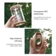 thumbnail image 4 of Xihbxyly Venta de Palets Macetas Pequeñas Transparentes para Plantas Hidropónicas, Macetas de Plástico Transparentes para Escritorio de Sala de Estar Interior, Imprescindibles para Los Amantes de Las, 4 of 7