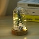 thumbnail image 3 of Mini árbol de Navidad con luz de noche y cubierta de cristal, regalo navideño, decoración para mesita de noche, 3 of 5