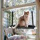 thumbnail image 5 of Percha para Ventana para Gatos Hamaca para Gatos Percha para Hamaca con Ventana para Gatos Mejorada con 4 ventosas de Alta Resistencia Cama Colgante para Mascotas para Tomar el Sol, 5 of 5