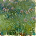thumbnail image 2 of Monet, Claude 20x20 White Modern Wood Framed Museum Art Print Titled - Agapanthe, 2 of 4
