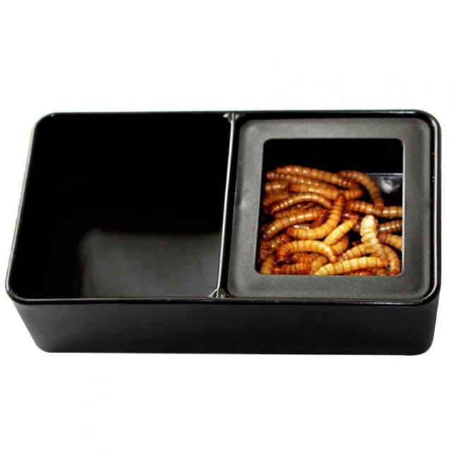 Cuenco De Comida De Diseño De Doble Marco De Simulación, Dispensador De Reptiles, Para Araña De Serpiente De Rana Con Cuernos De Tortuga