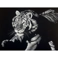 thumbnail image 2 of Chapman, Julie T. 18x15 Black Ornate Wood Framed with Double Matting Museum Art Print Titled - Burning Bright, 2 of 4