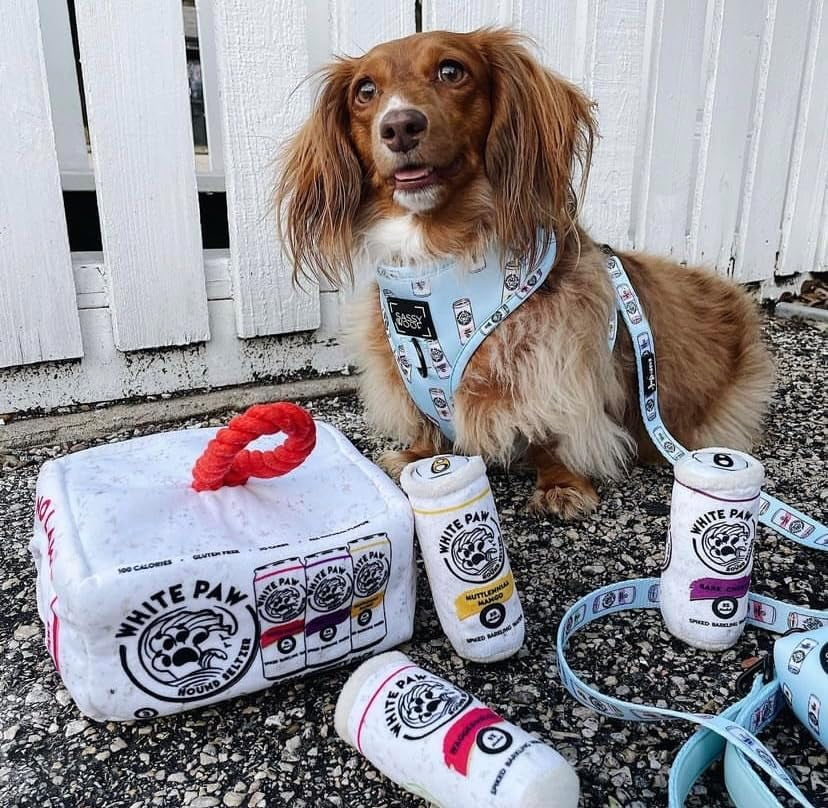 Haute Diggity Dog White Paw Grrriety Pack Activity House, Plush Dog Toys with Squeaker, Machine-Washable, for All Breeds, One Size
