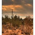 thumbnail image 3 of Saguaro Duvet Cover Set, Dramatic Shady Desert View with a Storm Cloud Approaching Western Arizona Photo, Decorative 2 Piece Bedding Set with 1 Pillow Shams, Twin Size, Orange Green, by Ambesonne, 3 of 3