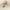 Beige Daisies Flowers, variant on Modern Moments by Gerber Baby Neutral Organic Harem Pant, Sizes 0/3 Months - 24 Months