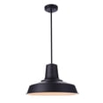 thumbnail image 5 of Craftmade Lighting - Briscoe - 1 Light Outdoor Pendant-10.24 Inches Tall and, 5 of 9
