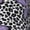 1 Black, variant on Picia Women Crew Soft Moisture-wicking Socks Purple Butterflies Pattern Design Cotton Socks, One Size fit All