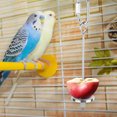 thumbnail image 1 of Bird Cage Accessory, Parrots Fruit Fork, Bird Fruit Fork, For Pet Sotre, 1 of 8