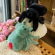 thumbnail image 2 of Simulation Black Spider Jumping Spider Doll Crawling Pet Doll Plush Cute Reptile Plush Toy Super Cute Doll, 2 of 5