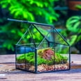 thumbnail image 4 of HLONK Terrarium Rectangulaire en Verre Résistant aux Intempéries avec Support pour Escargots - Serre pour Plantes d'Intérieur et d'Extérieur Idéale pour Succulentes et Petites Plantes Déco Maison et Jardin, 4 of 5