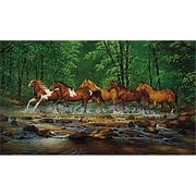 TUFTOP TT93132 Spring Creek Run - Medium (12 x16 )