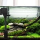 thumbnail image 3 of 5 uds cubierta protectora de filtro de acuario cubierta de espuma de estanque de entrada de tanque de peces (L) Likrtyny Para estrenar, 3 of 8