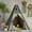Grey, variant on Teepee Tent for Kids Stripe Padded Mat Foldable Dark Tone Grey Play Tents for Girl and Boy with Carry Case Wooden Pole Printing Canvas Tepee Playhouse for Child Indoor Outdoor