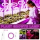 thumbnail image 1 of Xihbxyly Lámpara de Crecimiento Usb Angel, Led de Espectro Completo, 3 Colores de Luz para Plantas de Interior, Luz Roja, Azul y Morada para Suculentas y Hierbas, Atenuación de Cinco Velocidades, Tem, 1 of 1