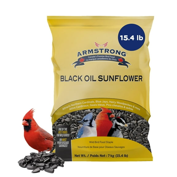 Armstrong Wild Bird Food Black Oil Sunflower Bird Seed, 15.4 Pounds - for Northern Cardinals, Blue Jays, Hairy Woodpeckers and Goldfinches - Ideal for Outside Feeders