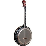 Gold Tone Mastertone IT-250F/L Left-Handed Irish Tenor Banjo With Flange Vintage Brown