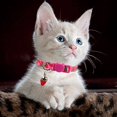 thumbnail image 4 of Collar para gato ZHAOCHENG de 2 piezas ajustable con campana y accesorios de frutas, 4 of 5