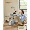 thumbnail image 3 of FEANDREA Cat Tree, Small Cat Tower, Cat Condo, Kitten Activity Center with Scratching Post, 3 of 7