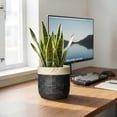 thumbnail image 3 of Ordivic 6 inch Black Ceramic Planter with Drainage Hole & Plug, Round Flower Pot for Succulents & Cactus, Indoor Outdoor for Home Office Desk, Housewarming Gift, 3 of 7