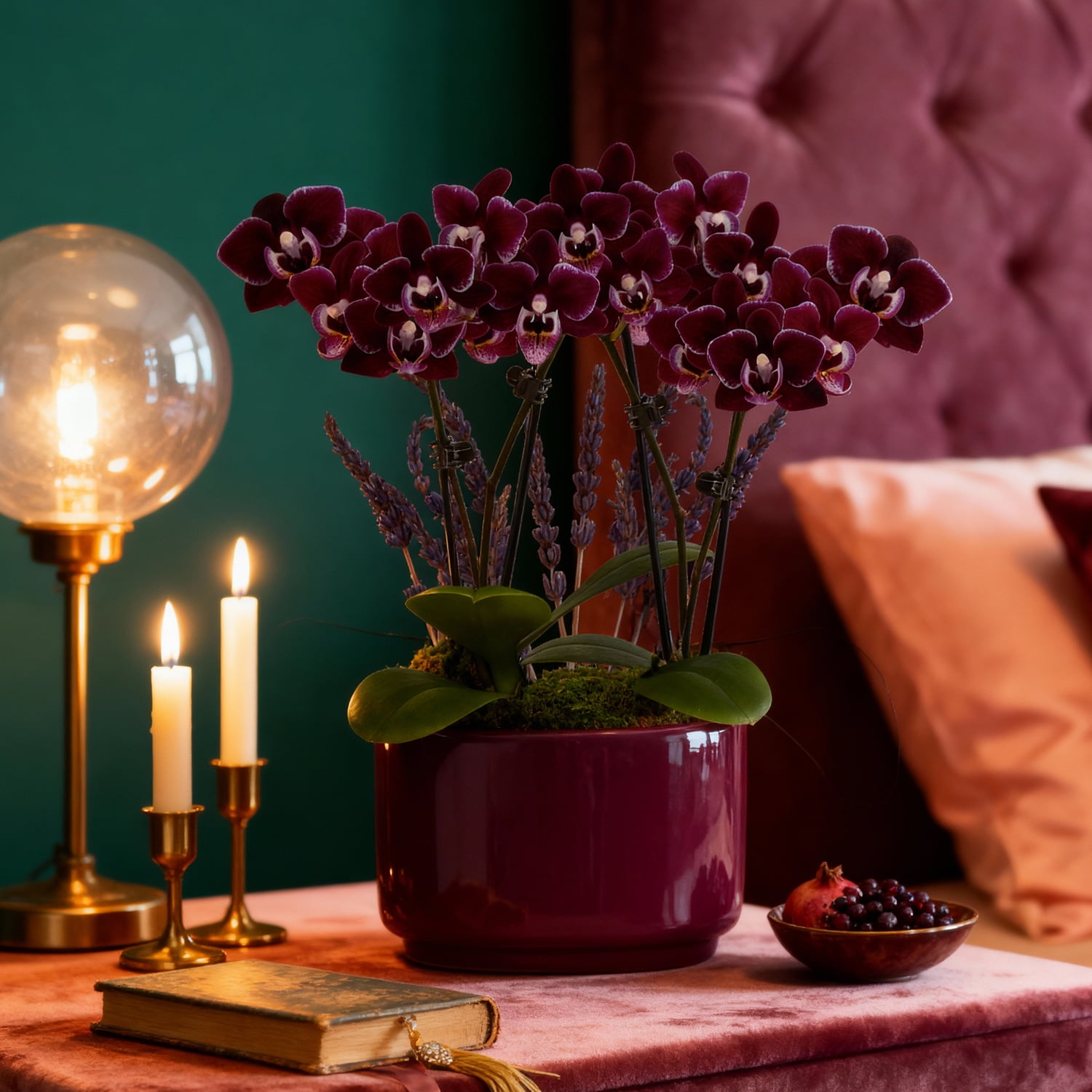 4IN Mini Dark Purple Orchid Planter with Lavender – Purple Jan Pot